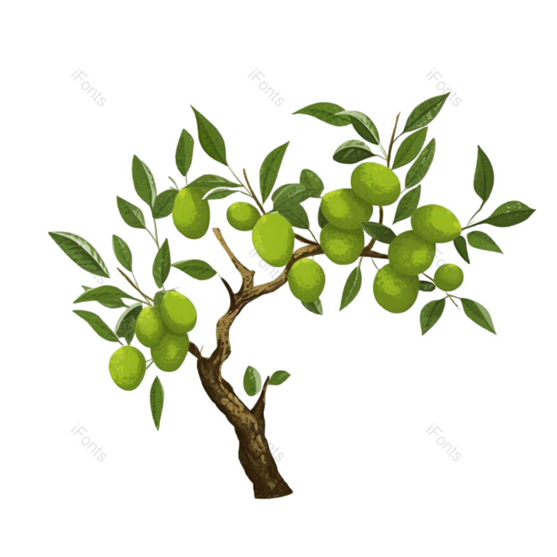 叶子图片,芒种元素,树叶PNG,绿色免抠素材